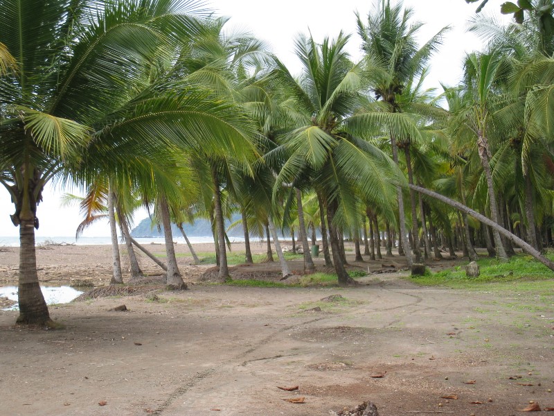 ../Images/Jaco Beach 5.jpg